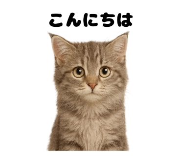 Canvaで画像を読み込んでLINEスタンプ推奨サイズに調整した画像