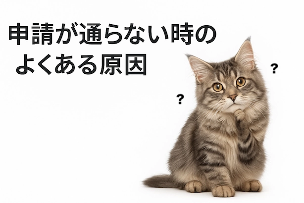申請が通らないときのよくある原因と対処法、アイキャッチ画像